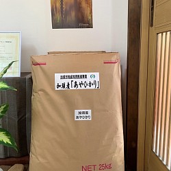 加須産　あやひかりです。